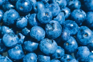 blueberries-4356669_1280